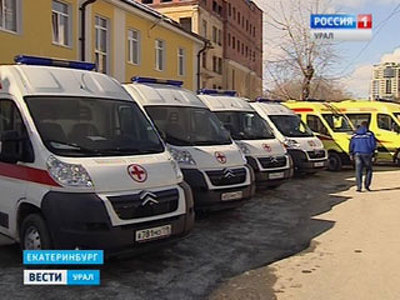 В Екатеринбурге фельдшера скорой помощи покусала собака пациентки