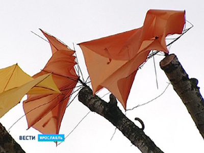 В Ярославской области объявлено штормовое предупреждение