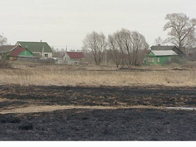 В Ростовском районе из-за пала травы едва не сгорели жилые дома