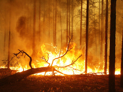 В Забайкалье площадь лесных пожаров возросла вдвое