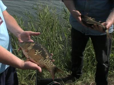 В Башкортостане установлен допустимый улов рыбы на 2016 год