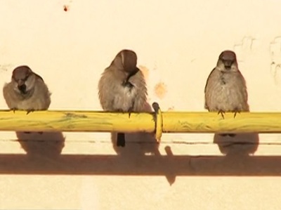 Жителей Калманки подключат к природному газу в 2016 году