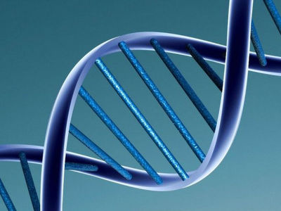 Вирусная ДНК в геноме человека помогает бороться с патогенами