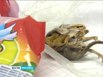 Жительнице Ярославля вместе с макаронами продали сушеную мышь