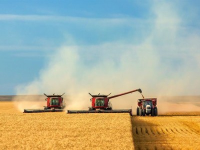 В России собрано более 100 млн тонн зерна