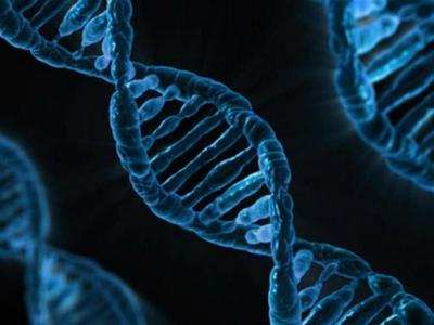 Анализ 50 тысяч геномов выявил новые генетические предпосылки самых разных болезней
