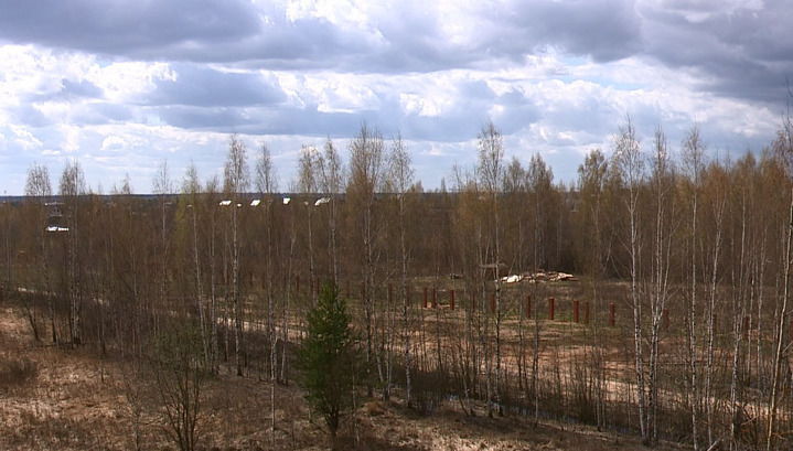 Началась подготовка к Всероссийскому форуму "Многодетная Россия". Новости. Пресс